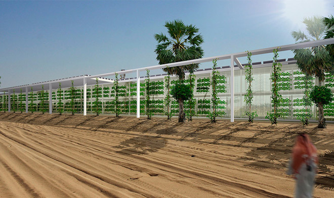 Linear-hydroponic-farm-in-Arabian-Peninsula-by-Forwrd-Thinking-Architecture-1
